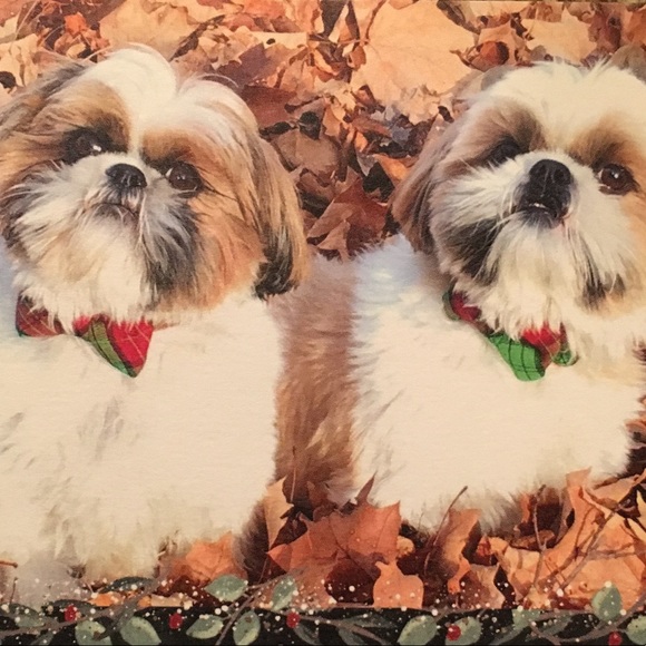 Clothing for work or play! - Picture 4 of 4